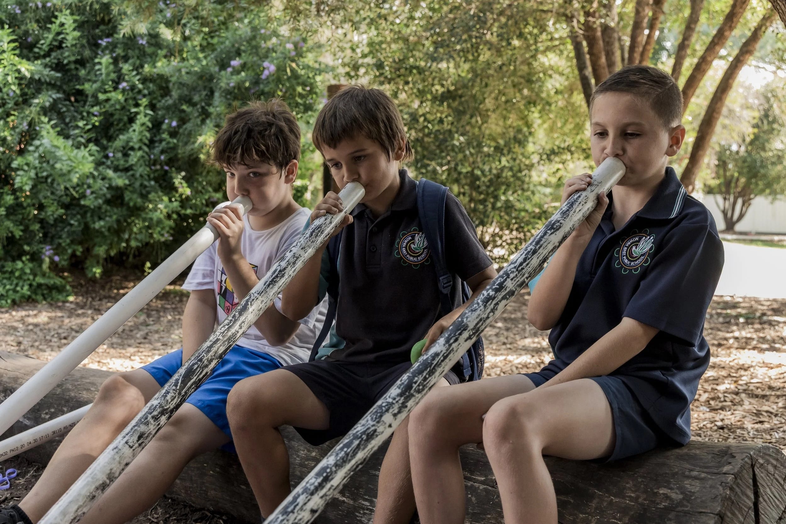 Dharawal Language in the Classroom Program